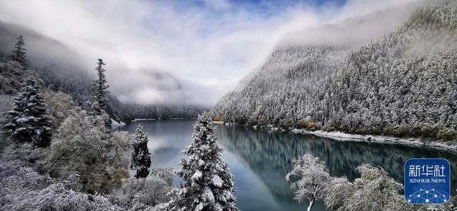 四川九寨沟四月飞雪、繁花似锦 胜似人间美景