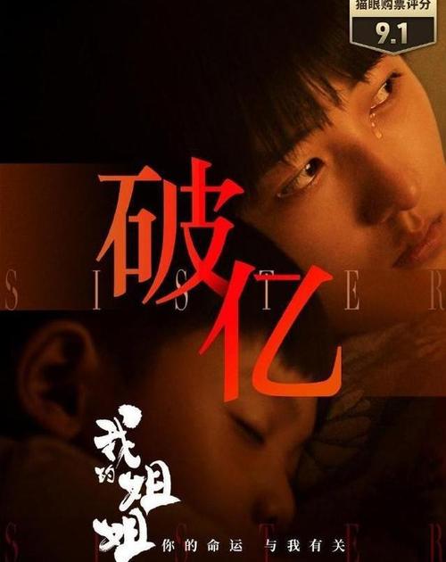 《我的姐姐》将在韩国上映，你如何评价这部电影的剧情？