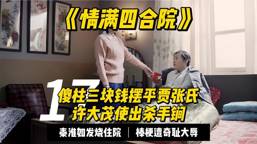 情满四合院剧情分集介绍