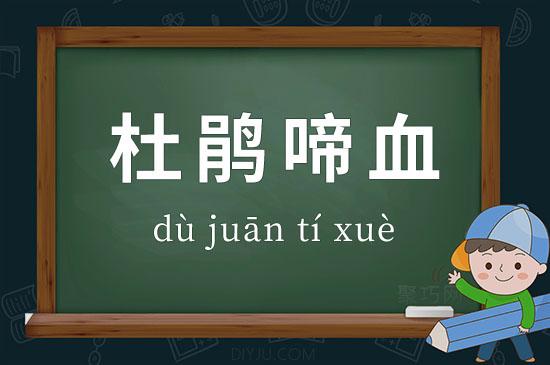 成语“杜鹃啼血”是什么意思？