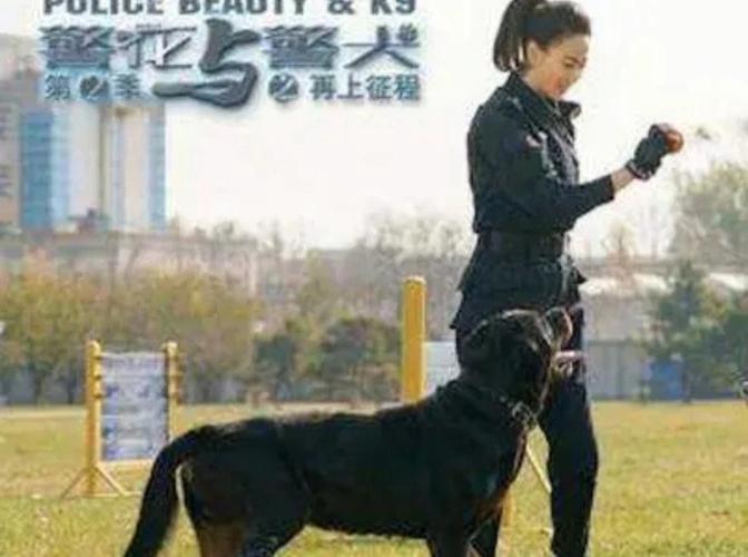 警花与警犬大结局介绍