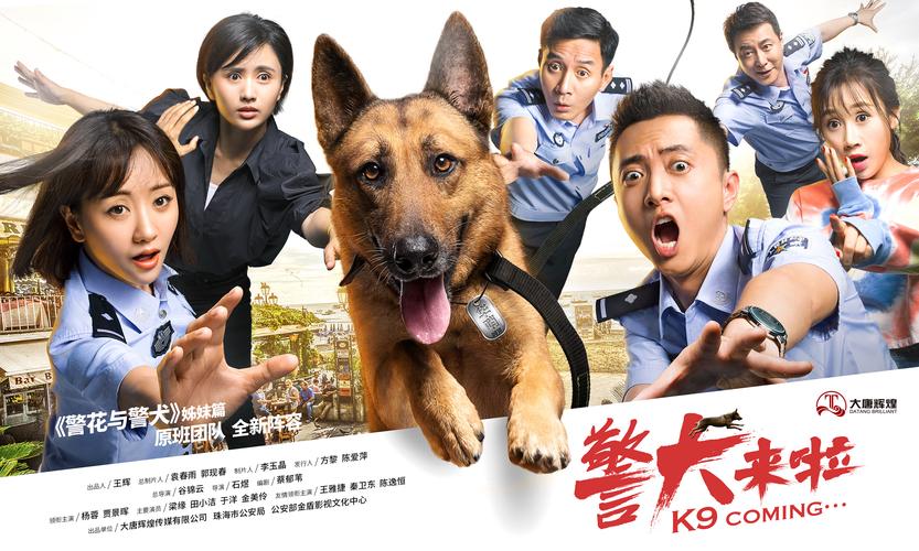 电视《警犬来啦》主要讲了什么？