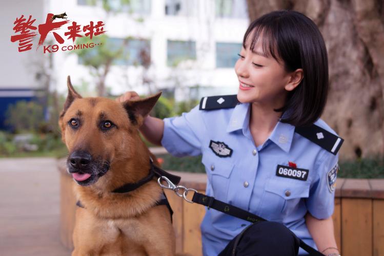 《警犬来啦》演员表及剧情介绍 什么时候播出上映