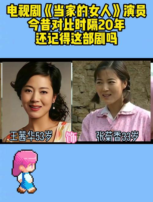 电视剧《当家的女人》演员表