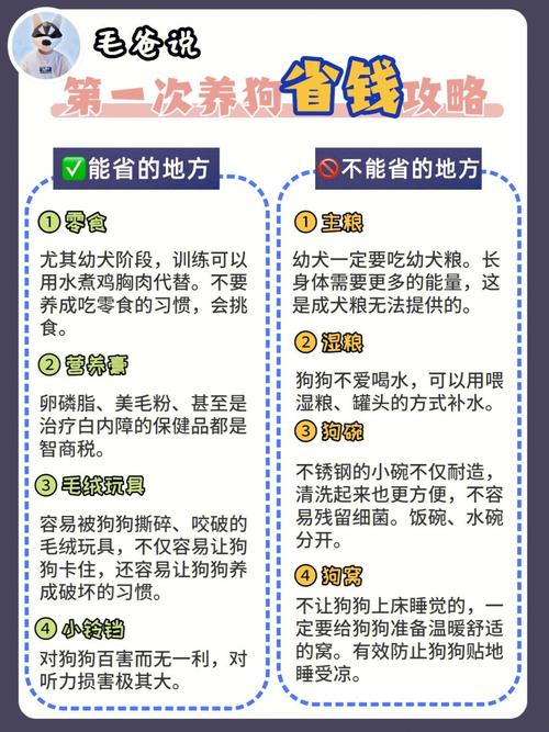 《旋转木马》大结局详细介绍，该片是几几年出的？