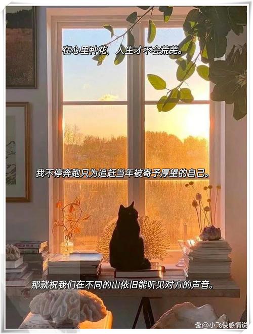 陪你走到世界尽头