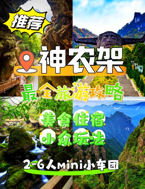 北纬31度录像带