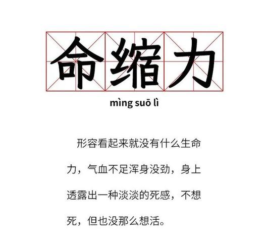 2. 事业的抉择