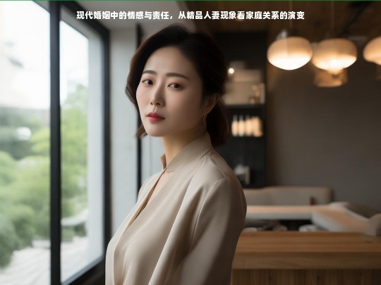 现代婚姻中的情感与责任，从精品人妻现象看家庭关系的演变