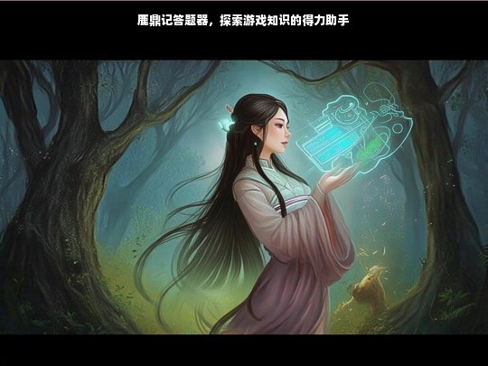 鹿鼎记答题器，游戏知识探索的得力助手