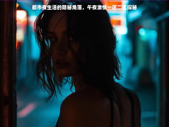 都市夜生活的隐秘角落，午夜激情一区二区探秘