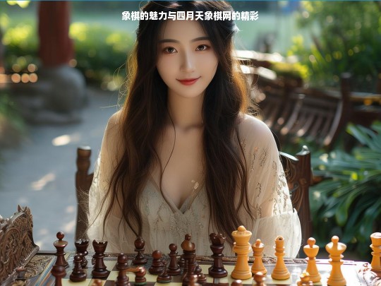 象棋的魅力与四月天象棋网的精彩