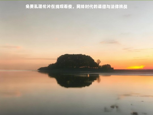 网络时代的道德与法律挑战，免费乱理伦片在线观看夜的反思