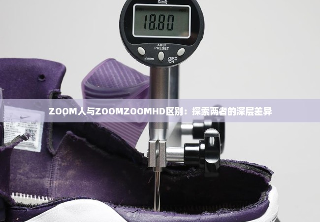 ZOOM人与ZOOMZOOMHD区别：探索两者的深层差异