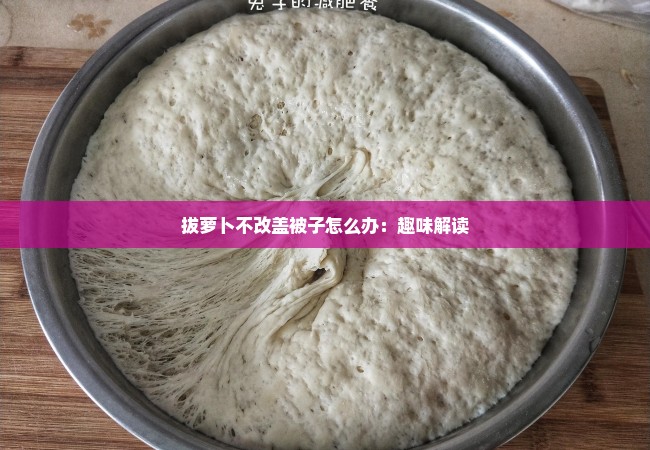 拔萝卜不改盖被子怎么办：趣味解读