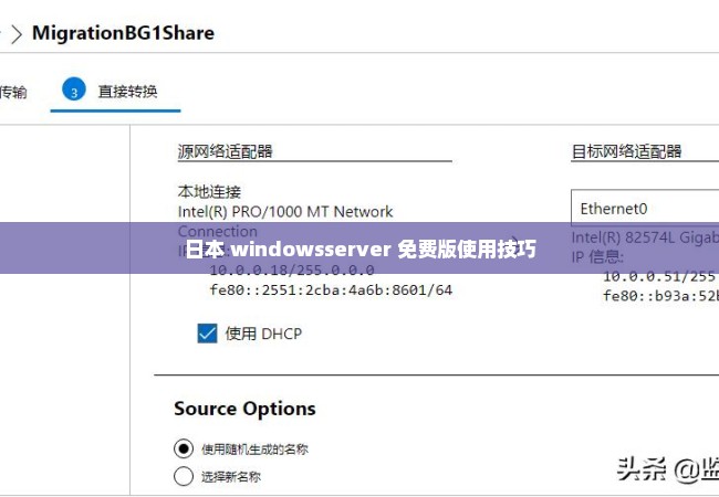 日本 windowsserver 免费版使用技巧