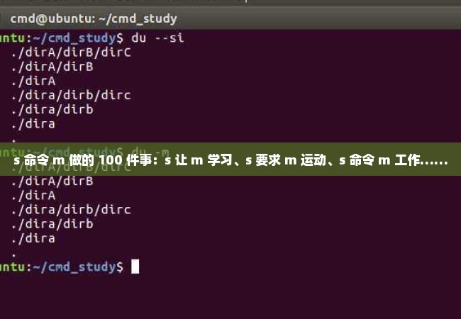 s 命令 m 做的 100 件事：s 让 m 学习、s 要求 m 运动、s 命令 m 工作……