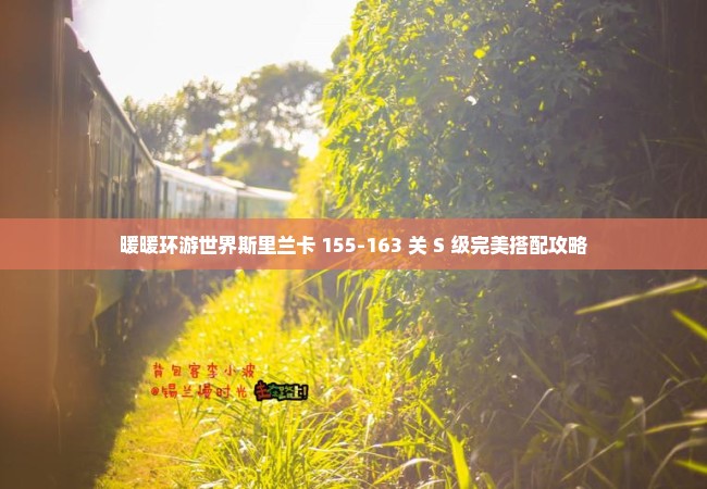 暖暖环游世界斯里兰卡 155-163 关 S 级完美搭配攻略