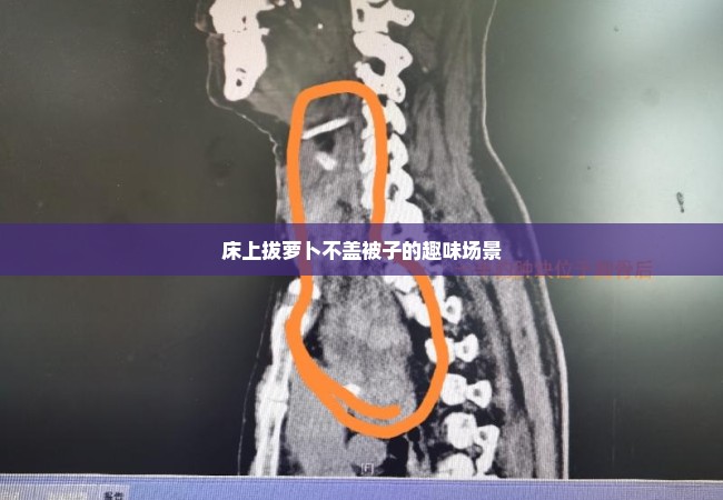 床上拔萝卜不盖被子的趣味场景