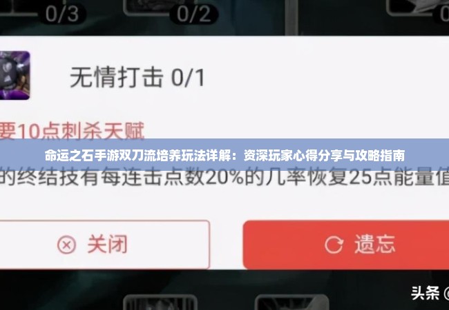 命运之石手游双刀流培养玩法详解：资深玩家心得分享与攻略指南