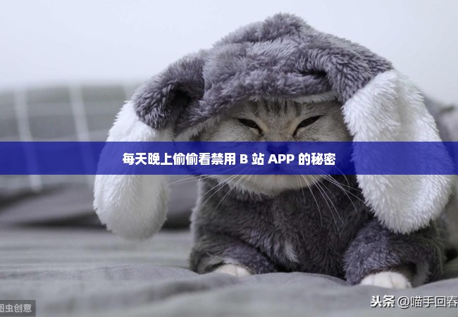 每天晚上偷偷看禁用 B 站 APP 的秘密