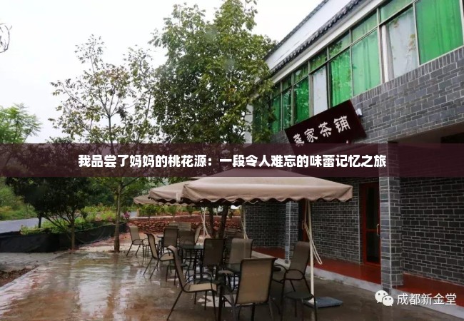 我品尝了妈妈的桃花源：一段令人难忘的味蕾记忆之旅