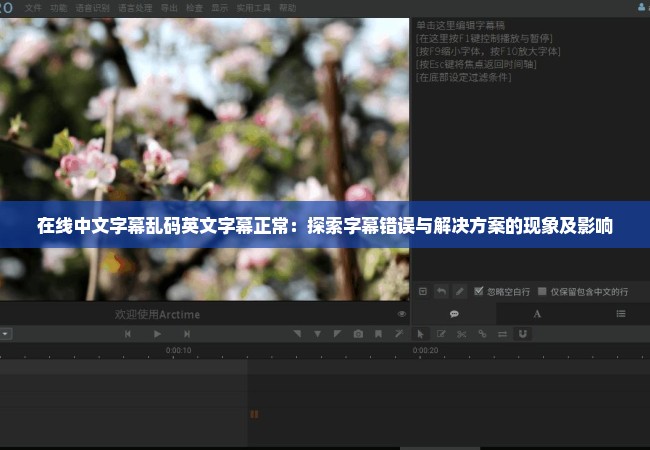 在线中文字幕乱码英文字幕正常：探索字幕错误与解决方案的现象及影响