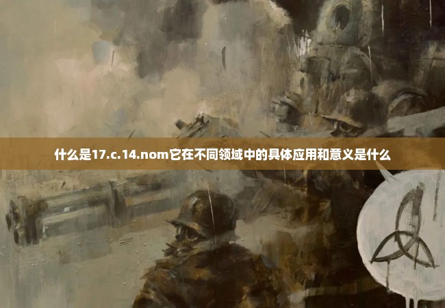 什么是17.c.14.nom它在不同领域中的具体应用和意义是什么