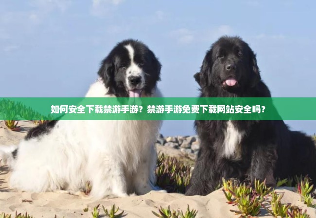 如何安全下载禁游手游？禁游手游免费下载网站安全吗？