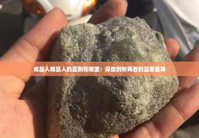 成品人精品人的区别在哪里：深度剖析两者的显著差异