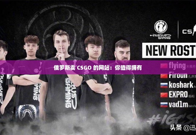 俄罗斯卖 CSGO 的网站：你值得拥有