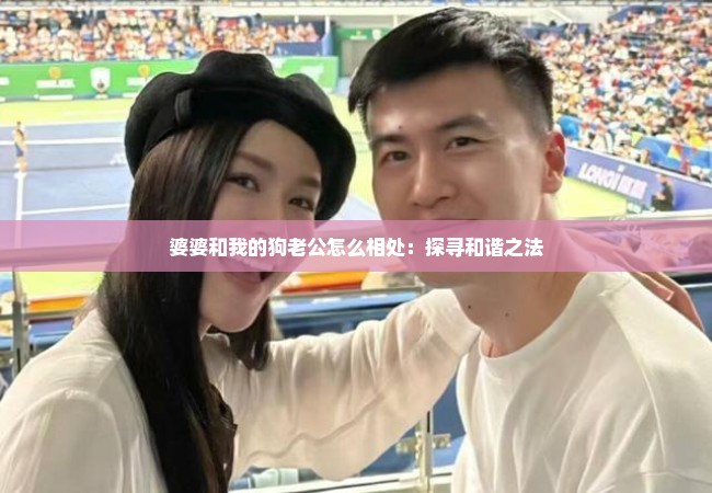 婆婆和我的狗老公怎么相处：探寻和谐之法