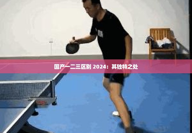 国产一二三区别 2024：其独特之处