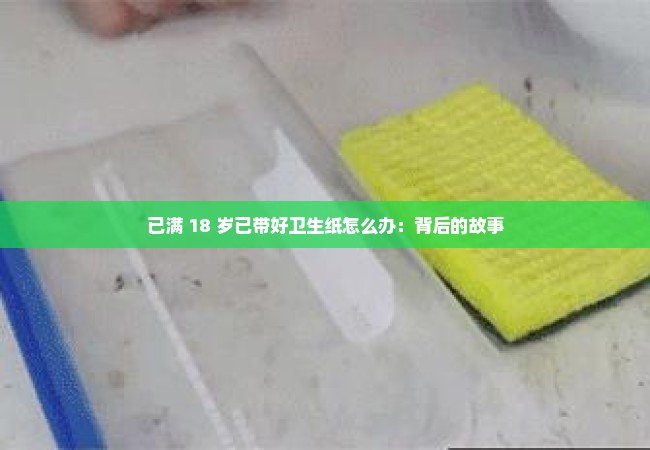 已满 18 岁已带好卫生纸怎么办：背后的故事