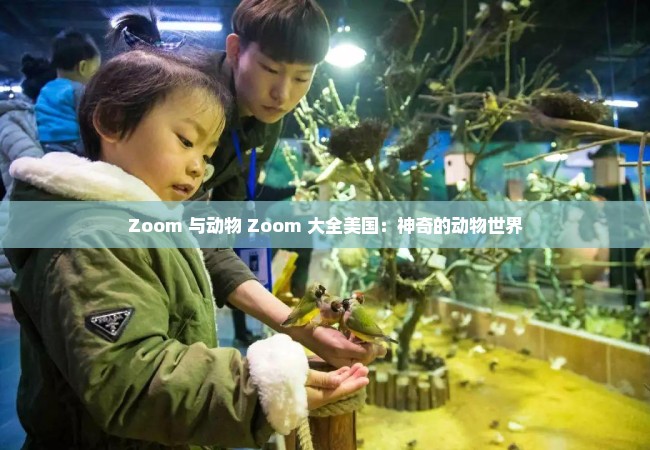 Zoom 与动物 Zoom 大全美国：神奇的动物世界