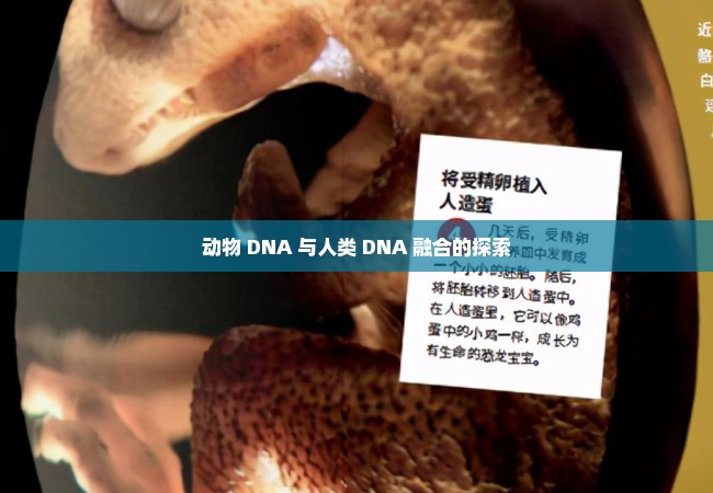 动物 DNA 与人类 DNA 融合的探索