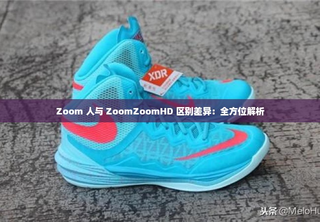 Zoom 人与 ZoomZoomHD 区别差异：全方位解析