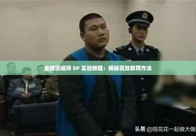 金牌惩戒师 SP 实验教程：揭秘高效教育方法