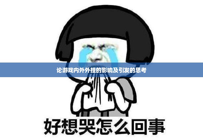 论游戏内外外挂的影响及引发的思考