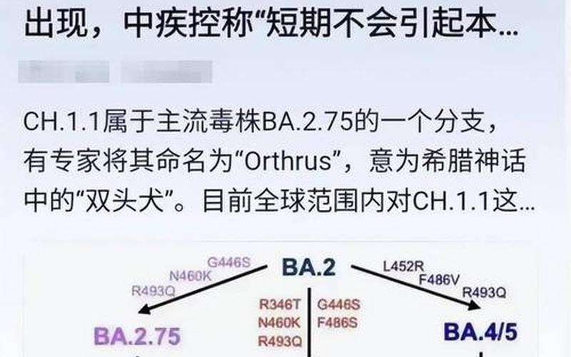 2022年7月疫情会好吗-2021年7月疫情能结束吗，2022年疫情是否反弹—2022年疫情是否反弹了呢