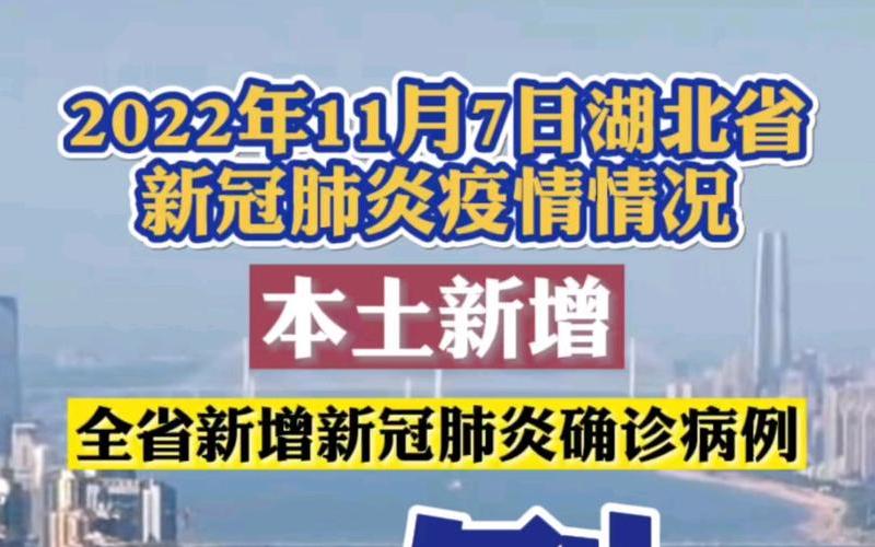 2022年湖北疫情情况-2022年湖北疫情情况怎么样，2022有关疫情的文章