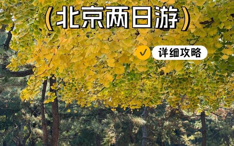 进北京最新规定官方_夏天带小孩去海边哪里最好，北京疫情防控最新情况,北京发布7大疫情防控措施,进出京最新政策→_2