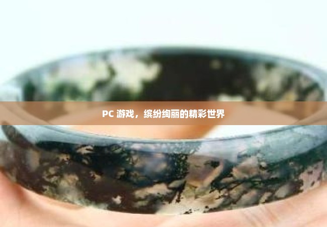 PC 游戏，缤纷绚丽的精彩世界