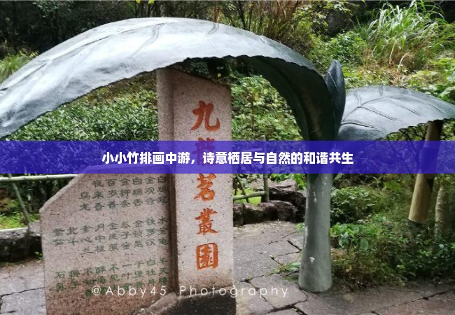 小小竹排画中游，诗意栖居与自然的和谐共生