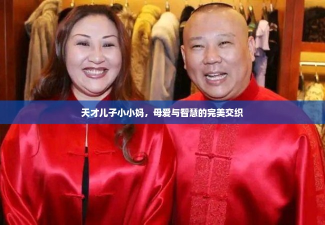 天才儿子小小妈，母爱与智慧的完美交织