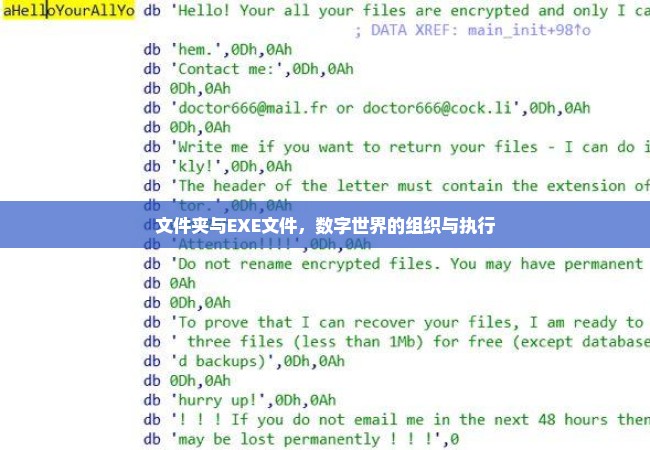 文件夹与EXE文件，数字世界的组织与执行