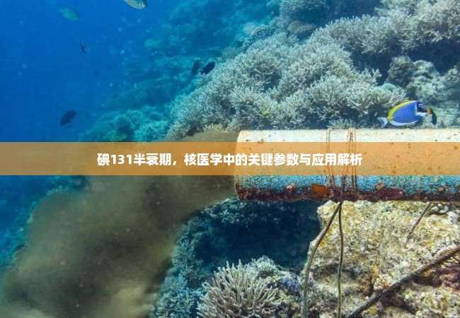 碘131半衰期，核医学中的关键参数与应用解析