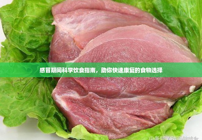 感冒期间科学饮食指南，助你快速康复的食物选择