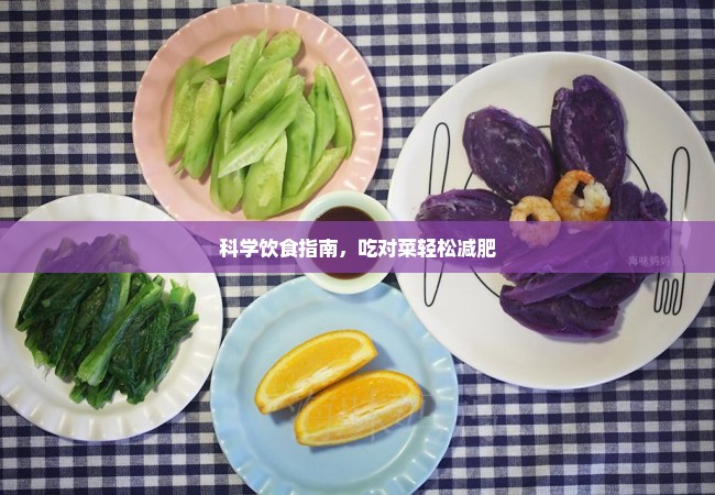 科学饮食指南，吃对菜轻松减肥