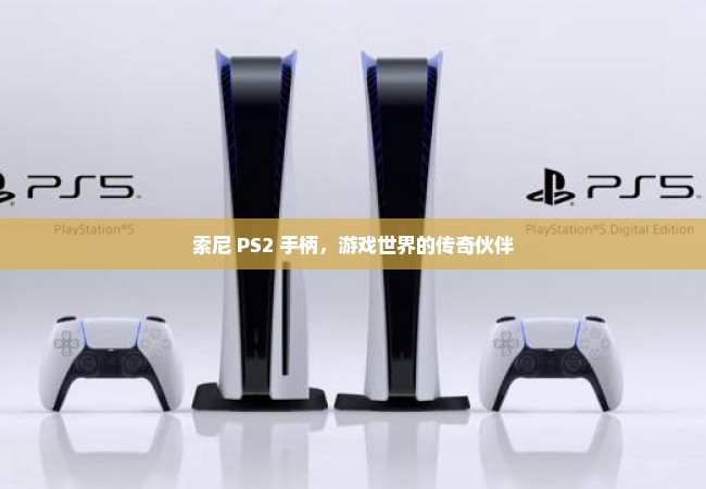 索尼 PS2 手柄，游戏世界的传奇伙伴